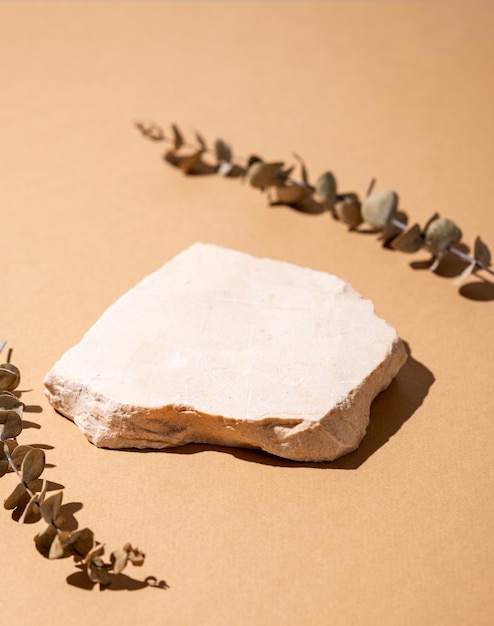 La losa de piedra beige en un fondo marrón claro con una hoja seca de eucalipto y sombra