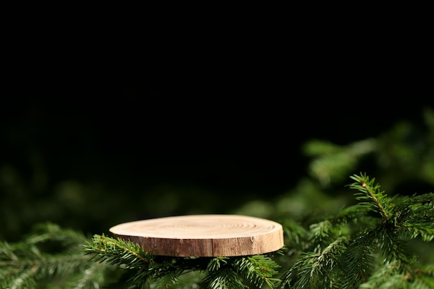 Una losa redonda de madera tallada se encuentra en las ramas de abeto, pino, un soporte para un objeto, bokeh