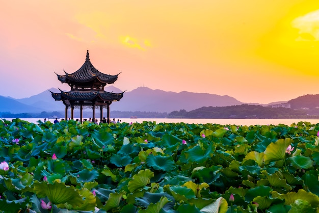 El loto y las nubes al atardecer en el antiguo pabellón en West Lake, Hangzhou