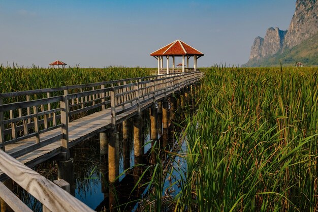 Lotus Lake ist ein touristischer Ort bei Sonnenuntergang Thailand Abend auf einem Holzsteg im See Sam Roi Yod National Park