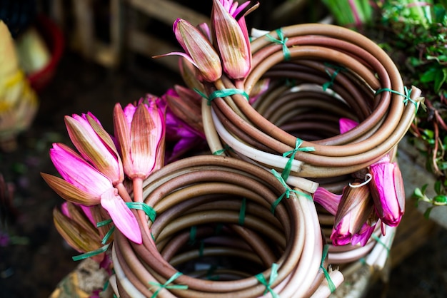 Lotusblüten essen