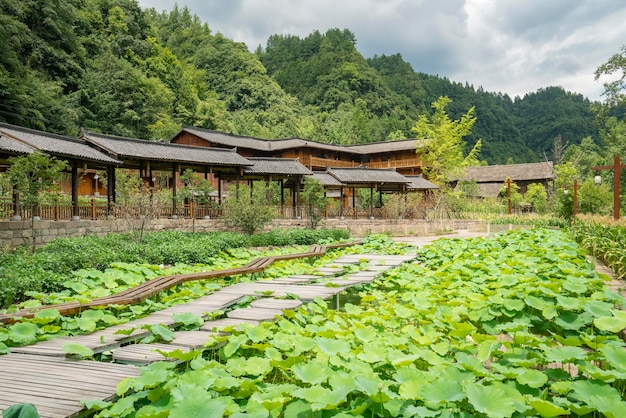 Lotusteich und alte Gebäude im Park