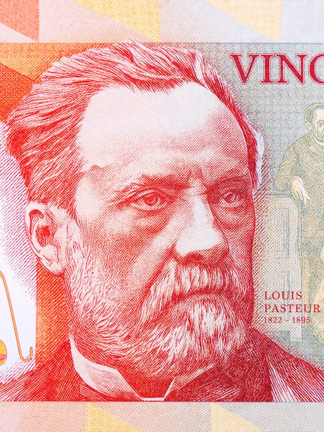 Louis Pasteur um retrato do dinheiro