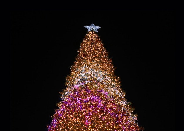 Low Angle View eines riesigen funkelnden Weihnachtsbaums, der gegen den dunklen Nachthimmel glitzert