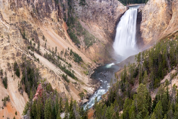 Lower Yellowstone Falls