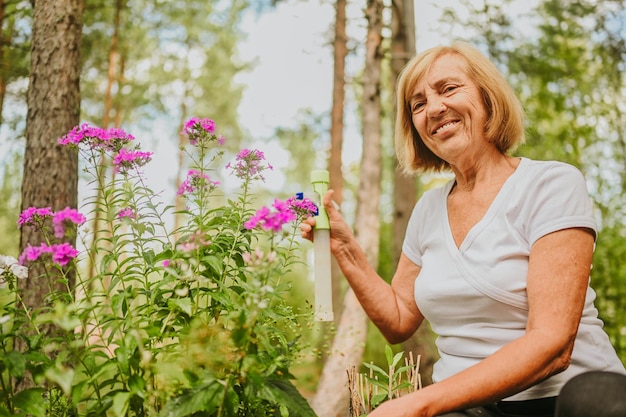 Ältere ältere Gärtnerin, die Blumen im Sommergarten auf dem Land im Freien pflegt, sprüht