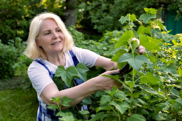 Ältere Frau, die Äste schneidet, die Gartenarbeit tun