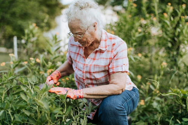 Ältere Frau, die zu ihrem Garten neigt