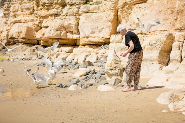 Ältere Frau mit dunkler Sonnenbrille füttert Möwen am felsigen Strand