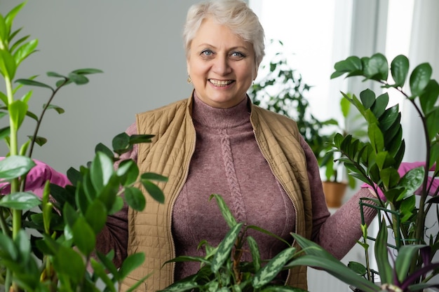 Ältere Frau mit grünen Pflanzen und Blumen zu Hause. Frau, die sich um Zimmerpflanze kümmert. Frau, die sich zu Hause um Pflanzen kümmert Porträt einer älteren Frau, die zu Hause im Garten arbeitet. Rentnerin kümmert sich um ihre Pflanze