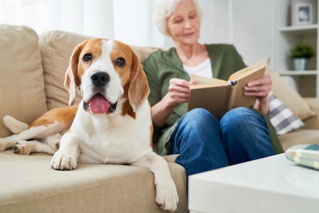 Ältere Frau und ihr Hund zu Hause