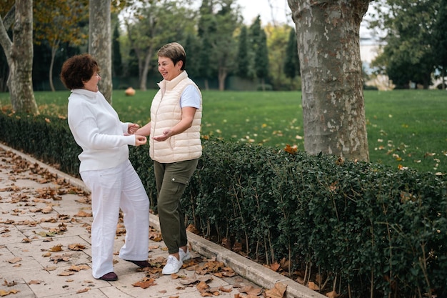 Ältere Freunde treffen sich gerne und unterhalten sich gerne. Fröhliche alte Frauen reden. Zwei alte Freunde trafen sich im Park. aktiver Lebensstil von älteren und mittleren Frauen