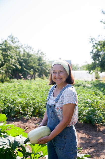 Ältere kaukasische Frau, die im Sommer auf dem Feld arbeitet Rentnerin, Landwirtin, die an der Landwirtschaft arbeitet und echte Menschen pflanzt