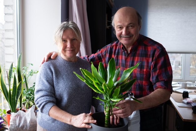 Ältere kaukasische Frau und Mann, die zu Hause Blumen pflanzen. Hobby im Alter.