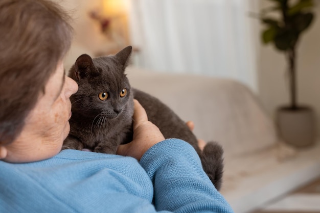 Ältere Menschen kümmern sich um Katzen und genießen sie zu Hause