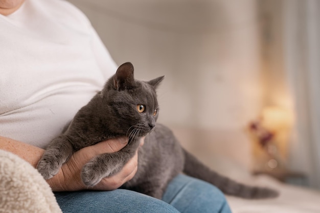 Ältere Menschen kümmern sich um Katzen und genießen sie zu Hause