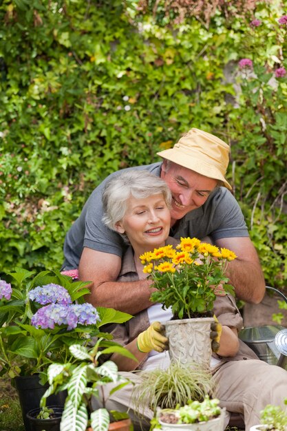 Ältere Paare, die im Garten arbeiten