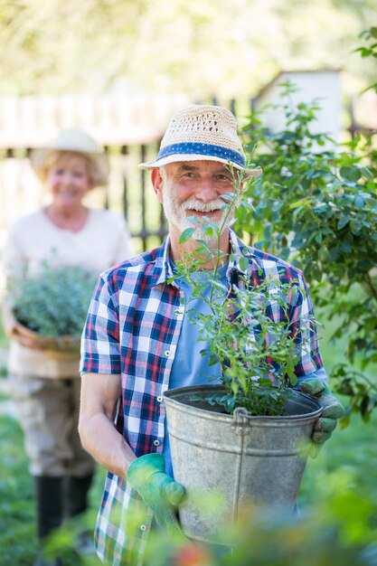 Älterer Mann, der mit Topfpflanze im Garten steht