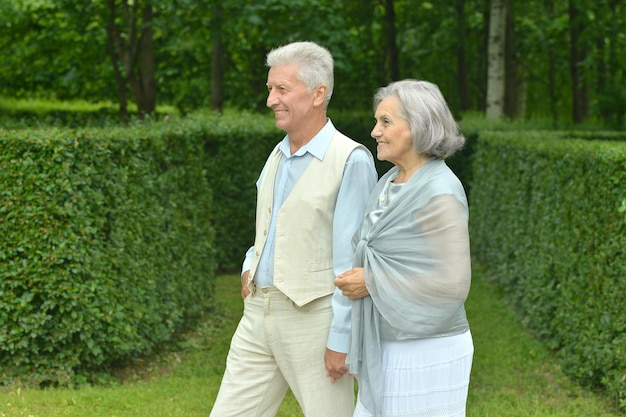 Älteres Paar auf einem Sommerspaziergang