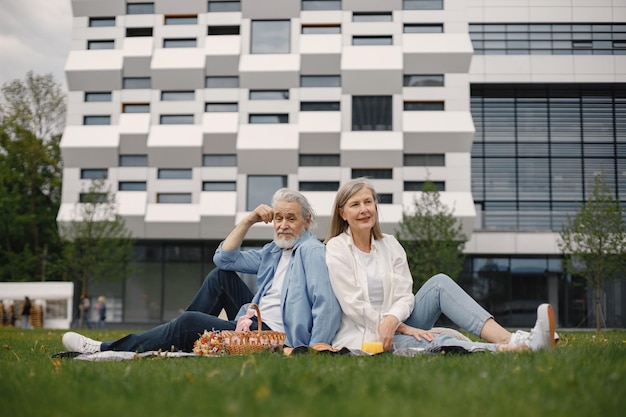 Älteres Paar, das sich im Sommer bei einem Picknick amüsiert