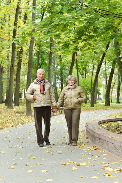 Älteres Paar, das Spaß im Herbstpark hat