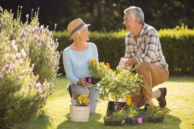 Älteres Paar, das zusammen im Garten arbeitet