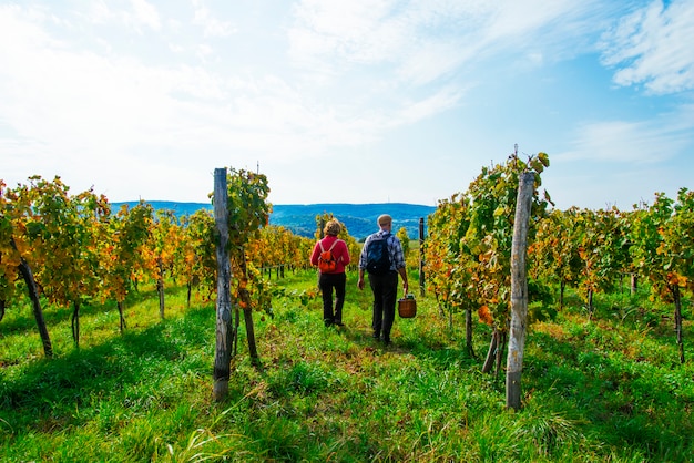 Älteres Paar im Weinberg