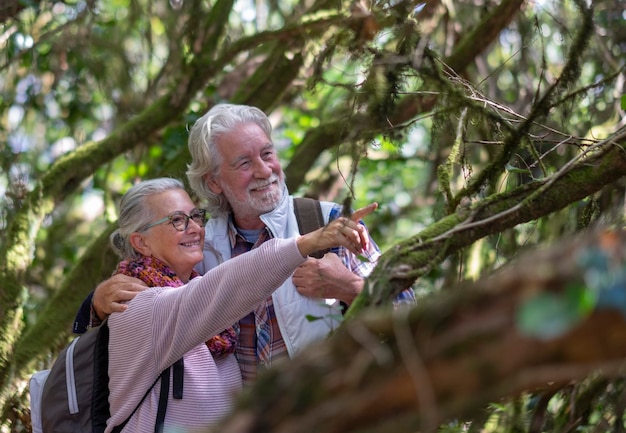 Älteres Paar lächelt und genießt den Berg im Wald zwischen Stämmen und Ästen, die mit Moos bedeckt sind