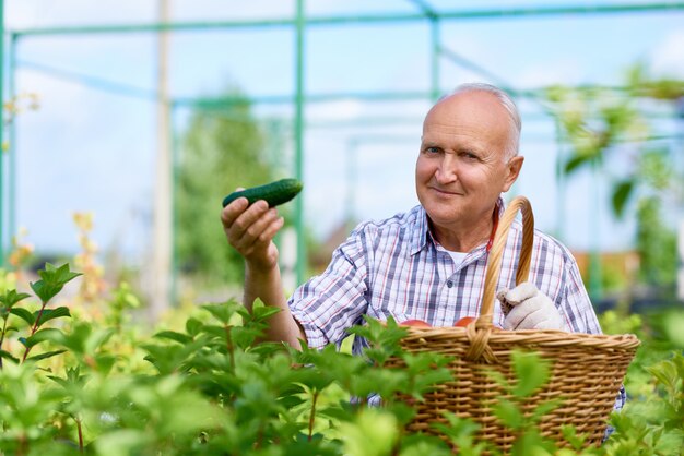 Último homem segurando um pepino