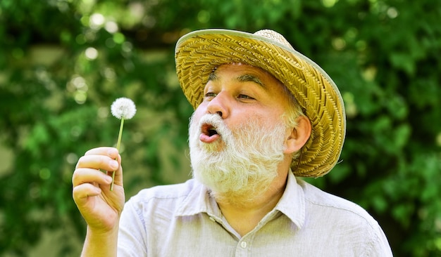 Último homem soprando sementes de dente de leão no parque. homem idoso com chapéu de palha de verão. Perda de memória do conceito. conceito de calvície e queda de cabelo. aposentadoria feliz e despreocupada. vovô fazendeiro.