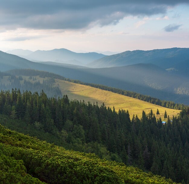 Últimos rayos de sol en el cielo de la tarde con nubes sobre la montaña Syniak. Vista del atardecer de verano desde la montaña Homiak, Gorgany, Cárpatos, Ucrania.