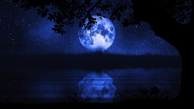 lua cheia e pradaria e na paisagem noturna