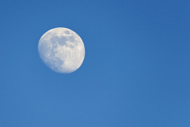 Lua cheia nascendo durante a noite de primavera com céu azul