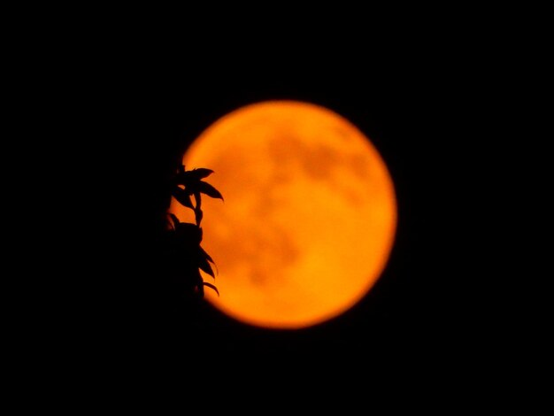 Foto lua de sangue