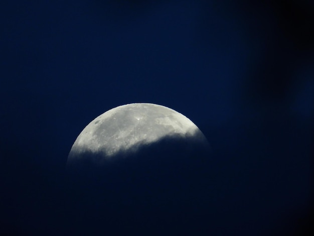 Lua no fundo de folhas e nuvens