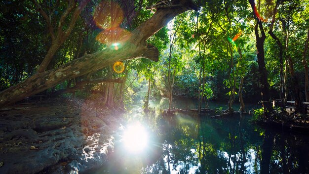 Foto luang prabang, laos. lago en los bosques de las montañas, el agua de este lago funda las cascadas kwang sri