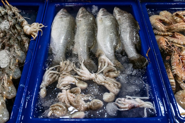 lubina fresca y calamar en agua helada en una caja de plástico azul. Puede comprar y cocinar en el lugar, en el restaurante de comida de mar en Phuket en Tailandia.