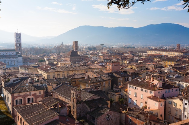 Foto lucca vom italienischen wahrzeichen guinigi tower aus luftansicht von lucca