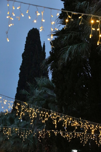 Foto luces del árbol de navidad al aire libre.