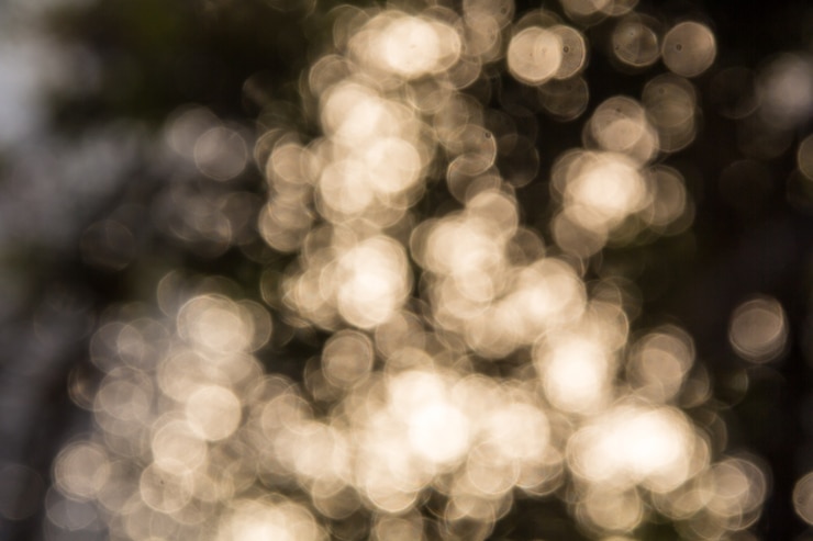 Foto las luces bokeh soleadas a través de los árboles
