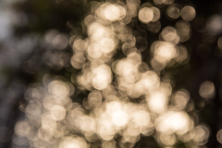Foto las luces bokeh soleadas a través de los árboles
