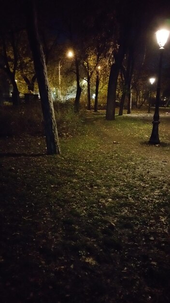 Foto luces de la calle iluminadas por la noche