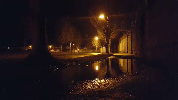 Las luces de la calle iluminadas y el reflejo de los árboles en el charco en la acera