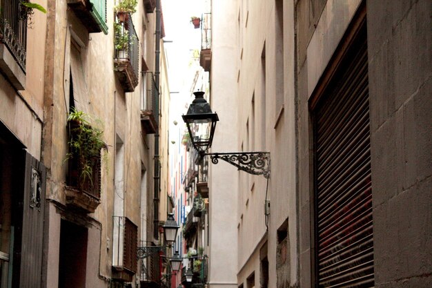 Luces callejeras en la ciudad