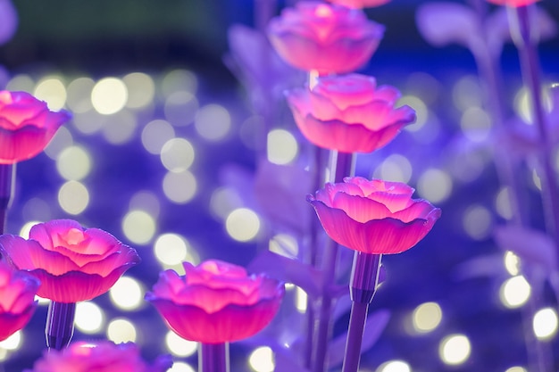 Las luces están decoradas como flores para crear una hermosa luz por la noche en el festival.