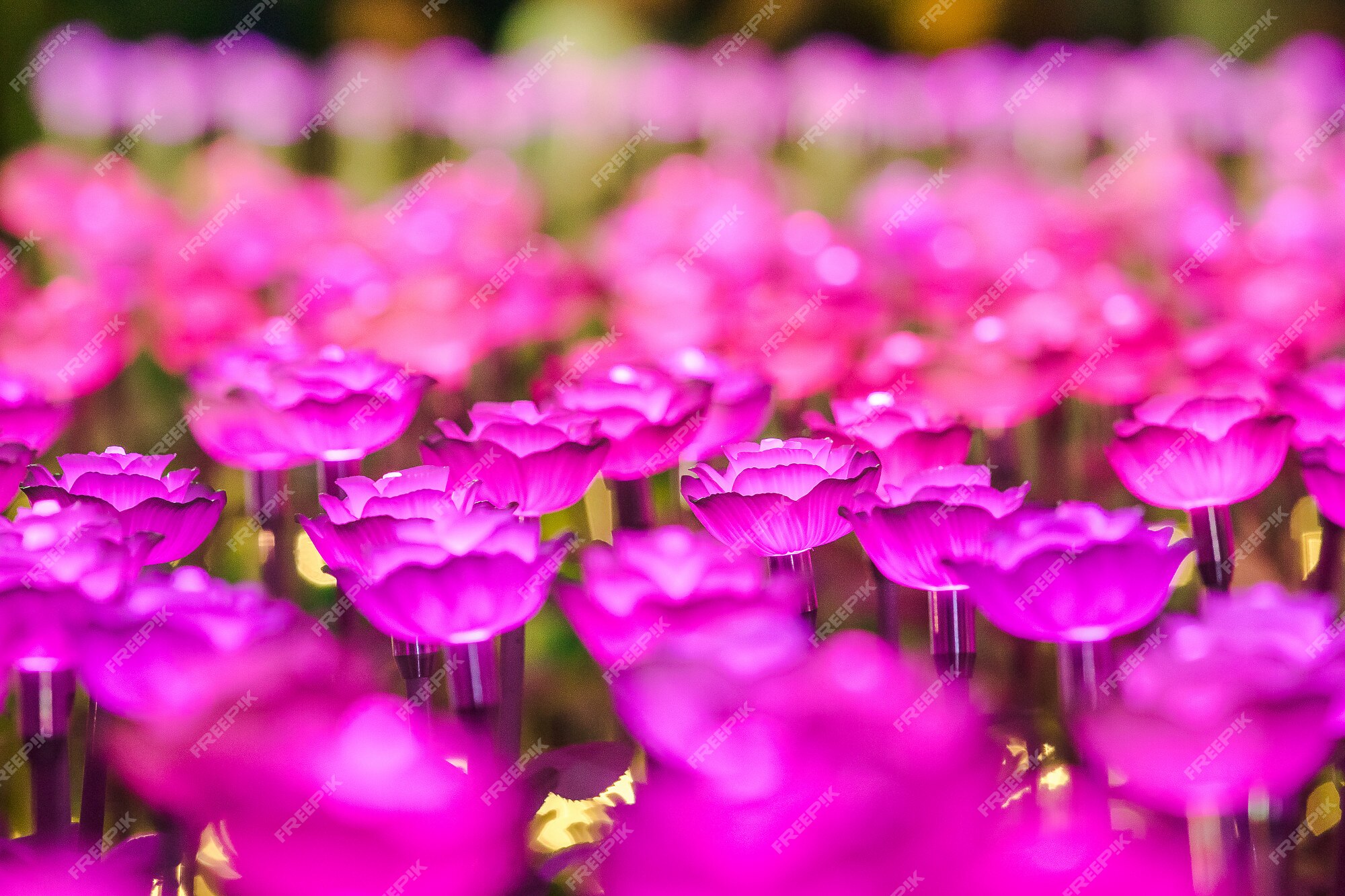 Las luces están decoradas como flores para crear una hermosa luz por la  noche en el festival. | Foto Premium