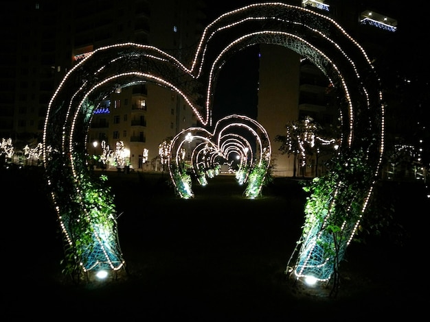 Foto luces iluminadas por la noche