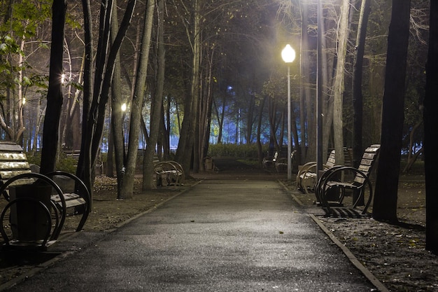 luces de linterna en el callejón rojo en la niebla