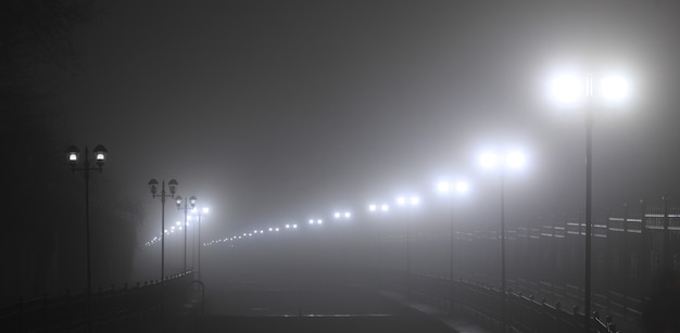 luces de linterna en la carretera en el bosque en la niebla