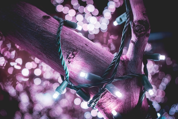 Luces navideñas nocturnas en el árbol. Iluminación brillante.